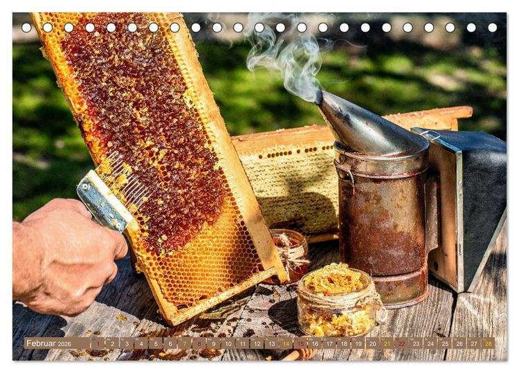 Produktbild: HONIG - fl&uuml;ssiges Gold (Tischkalender 2026 DIN A5 quer), CALVENDO Monatskalender