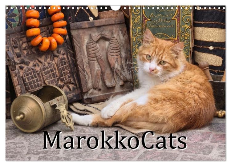 Produktbild: MarokkoCats (Wandkalender 2027 DIN A3 quer), CALVENDO Monatskalender