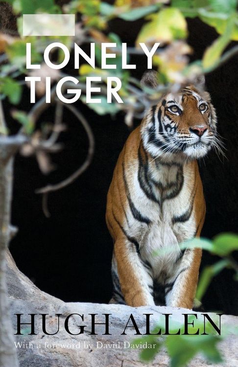 Produktbild: The Lonely Tiger
