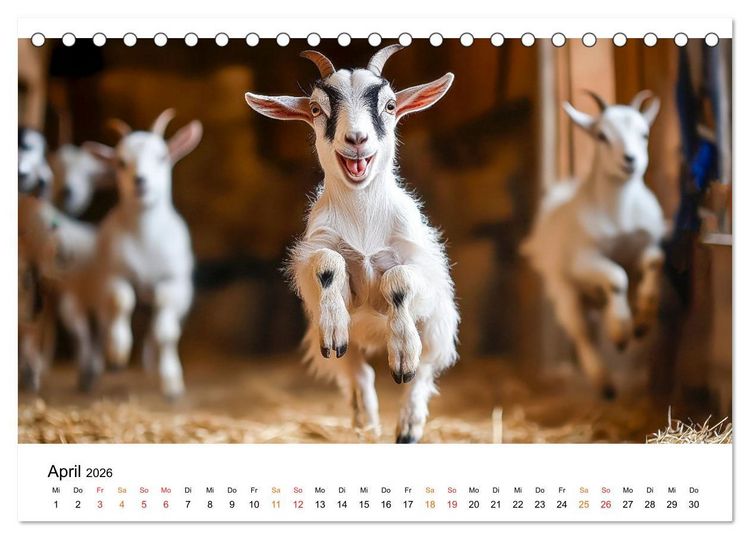 Produktbild: Ziegen - Bocksprung durch das Jahr (Tischkalender 2026 DIN A5 quer), CALVENDO Monatskalender
