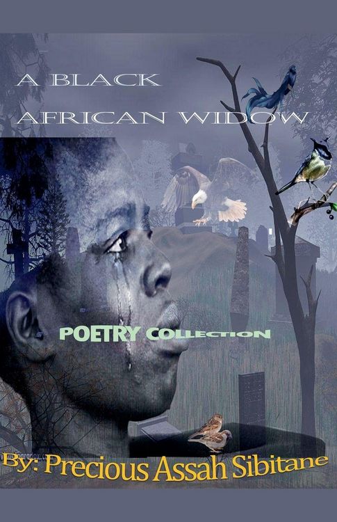 Produktbild: A Black African Widow