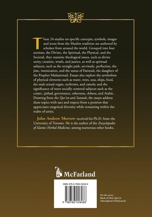 Produktbild: Islamic Images and Ideas