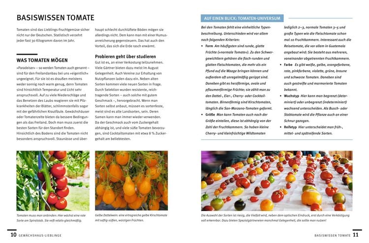 Produktbild: G&auml;rtnern im Gew&auml;chshaus Monat f&uuml;r Monat