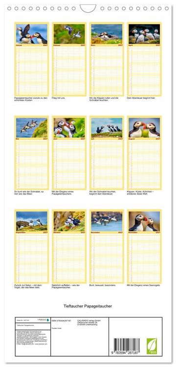 Produktbild: Familienplaner 2027 - Tieftaucher Papageitaucher mit 5 Spalten (Wandkalender, 21 x 45 cm) CALVENDO