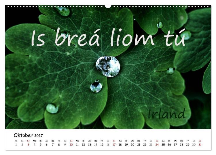 Produktbild: Ich liebe Dich (hochwertiger Premium Wandkalender 2027 DIN A2 quer), Kunstdruck in Hochglanz