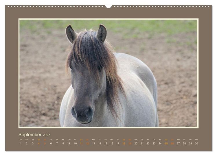 Produktbild: Die letzten Wilden - freilebende Pferde in D&uuml;lmen (hochwertiger Premium Wandkalender 2027 DIN A2 quer), Kunstdruck in Hochglanz