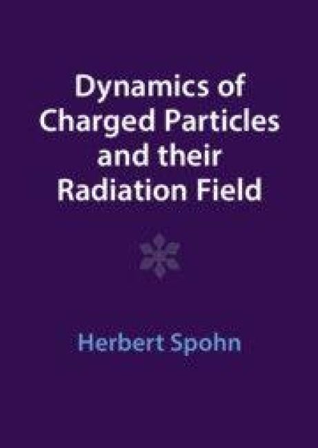 Produktbild: Dynamics of Charged Particles and their Radiation Field