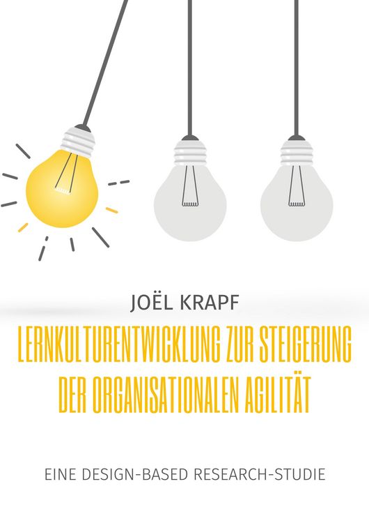 Produktbild: Lernkulturentwicklung zur Steigerung der organisationalen Agilit&auml;t