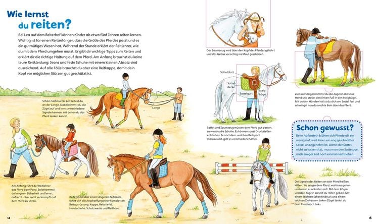 Pferde und Ponys / Was ist was junior Band 5