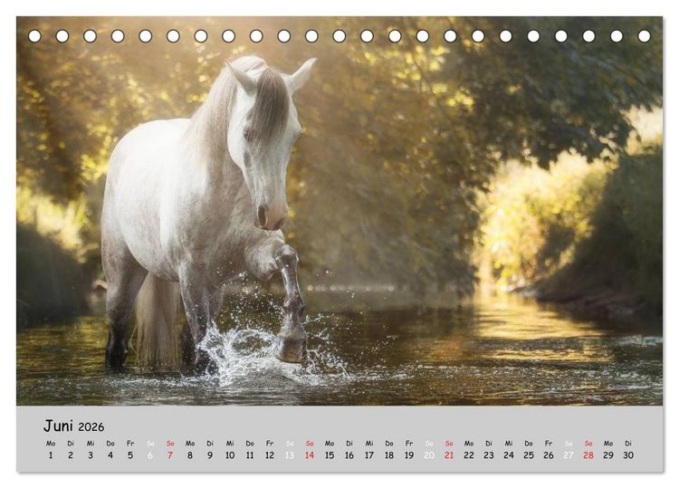 Produktbild: Pferde - Anmut und St&auml;rke gepaart mit Magie (Tischkalender 2026 DIN A5 quer), CALVENDO Monatskalender