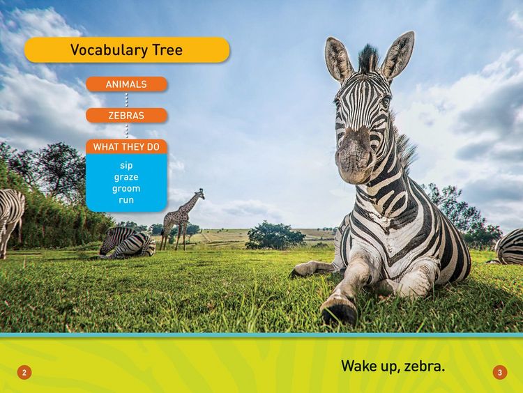 Produktbild: A Zebra's Day (National Geographic Kids Readers, Pre-Reader)