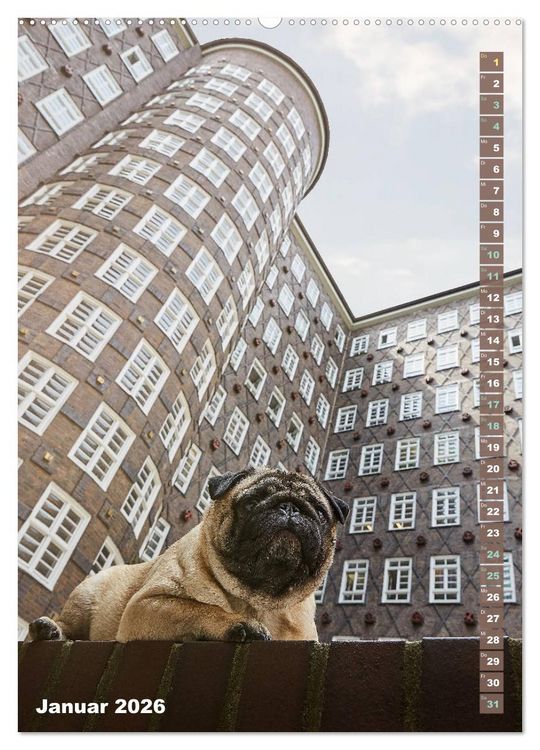 Produktbild: M&ouml;pse in Hamburg (hochwertiger Premium Wandkalender 2026 DIN A2 hoch), Kunstdruck in Hochglanz