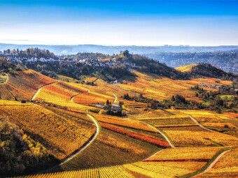 Produktbild: CALVENDO Puzzle Herbstliches Panorama &uuml;ber die sanft eingebetteten Weinreben in Stuttgart Rotenberg | 1000 Teile Lege-Gr&ouml;&szlig;e 64x48cm Foto-Puzzle f&uuml;r gl&uuml;ckliche Stunden