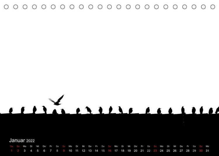 Produktbild: Kieler V&ouml;gel (Tischkalender 2022 DIN A5 quer)