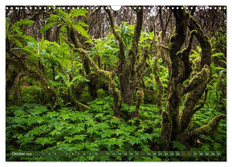 Produktbild: La Gomera - Vielseitige Insel (Wandkalender 2026 DIN A3 quer), CALVENDO Monatskalender