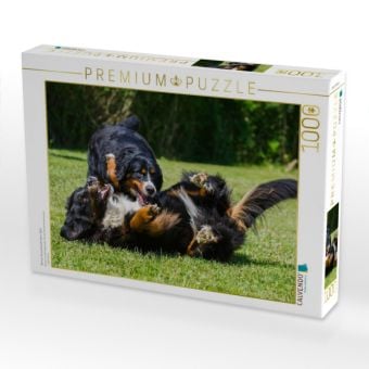 Produktbild: CALVENDO Puzzle Berner Sennenhunde beim Spiel | 1000 Teile Lege-Gr&ouml;&szlig;e 64x48cm Foto-Puzzle f&uuml;r gl&uuml;ckliche Stunden