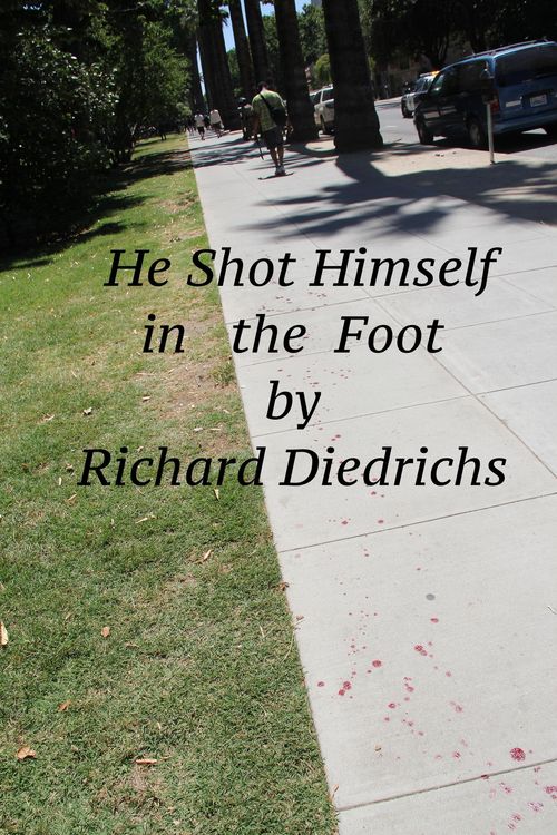 Produktbild: He Shot Himself in the Foot