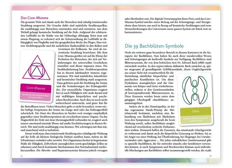 Produktbild: Hom&ouml;opathische Symbolapotheke: Psyche und Gem&uuml;t. Das Kartenset