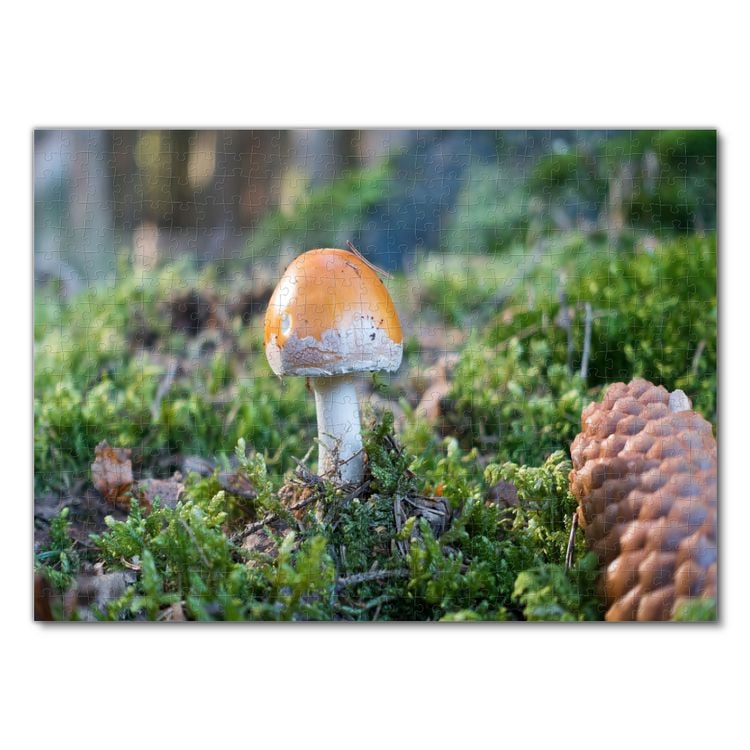 Produktbild: Lais Puzzle Pilz 500 Teile