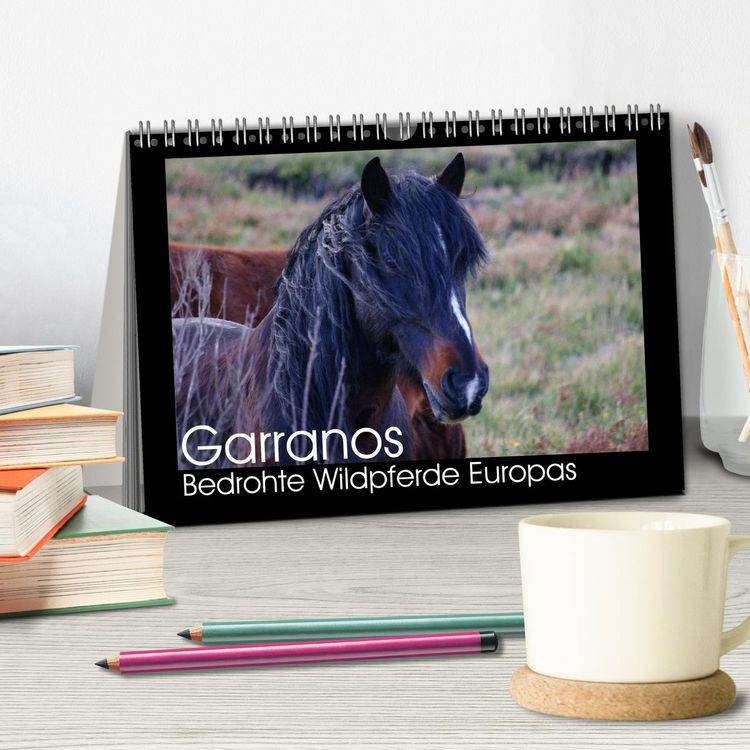 Produktbild: Garranos - Bedrohte Wildpferde Europas (Tischkalender 2026 DIN A5 quer), CALVENDO Monatskalender