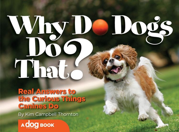 Produktbild: Why Do Dogs Do That?