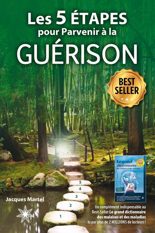 Produktbild: Les 5 &eacute;tapes pour parvenir &agrave; la gu&eacute;rison