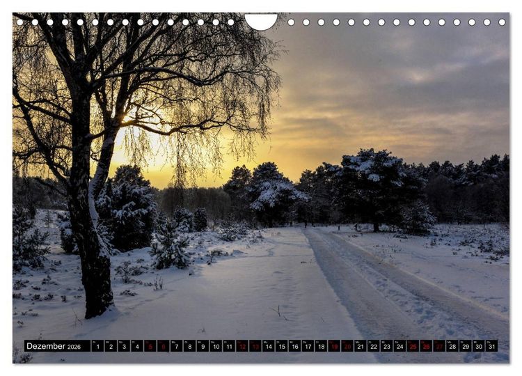 Produktbild: L&uuml;neburger Heide (Wandkalender 2026 DIN A4 quer), CALVENDO Monatskalender