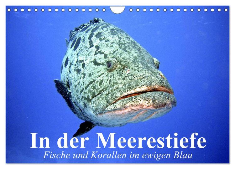 Produktbild: In der Meerestiefe. Fische und Korallen im ewigen Blau (Wandkalender 2026 DIN A4 quer), CALVENDO Monatskalender