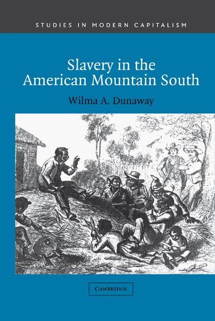Produktbild: Slavery in the American Mountain South