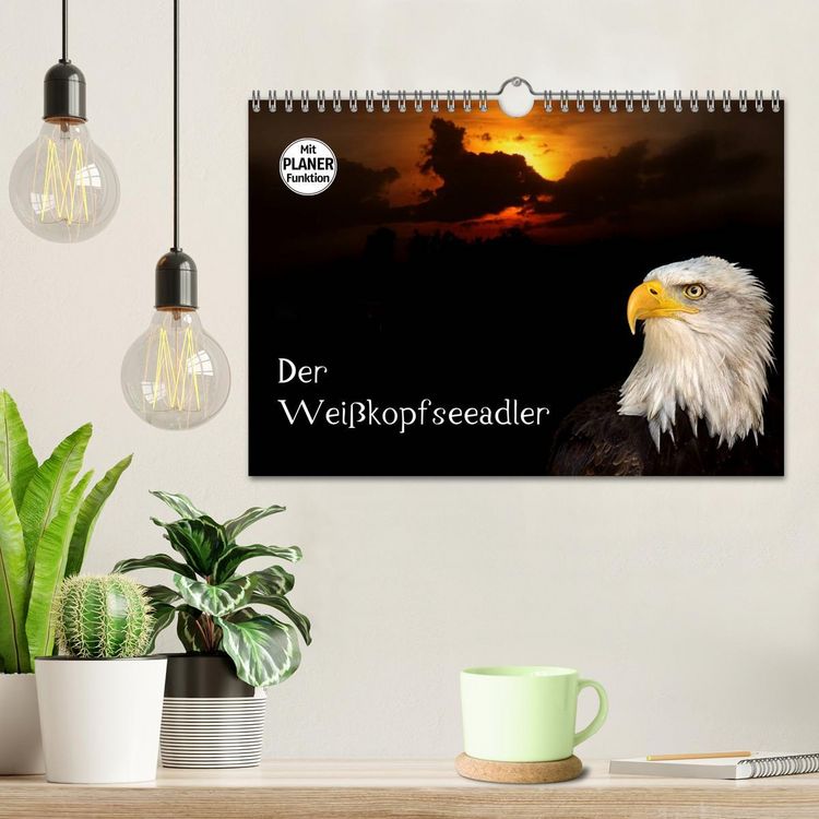 Produktbild: Der Wei&szlig;kopfseeadler (Wandkalender 2026 DIN A4 quer), CALVENDO Monatskalender
