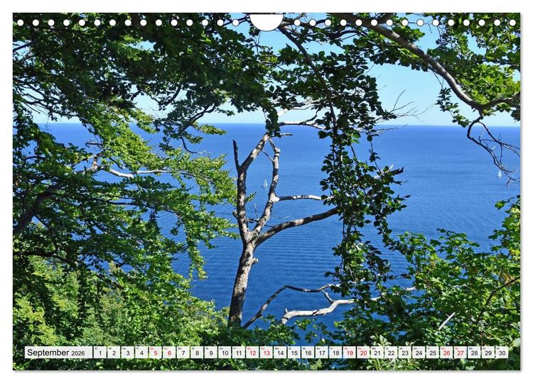 Produktbild: Sassnitz mit der Kreidek&uuml;ste (Wandkalender 2026 DIN A4 quer), CALVENDO Monatskalender