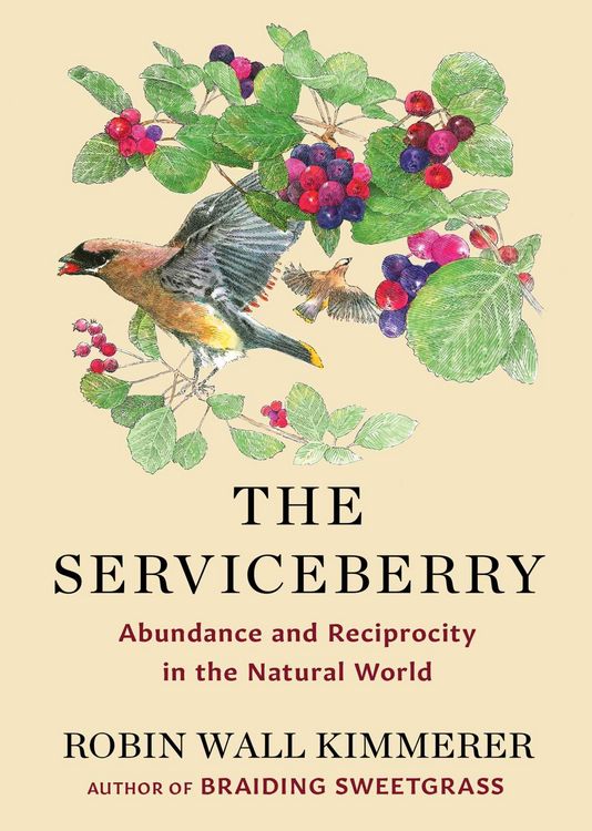 Produktbild: The Serviceberry
