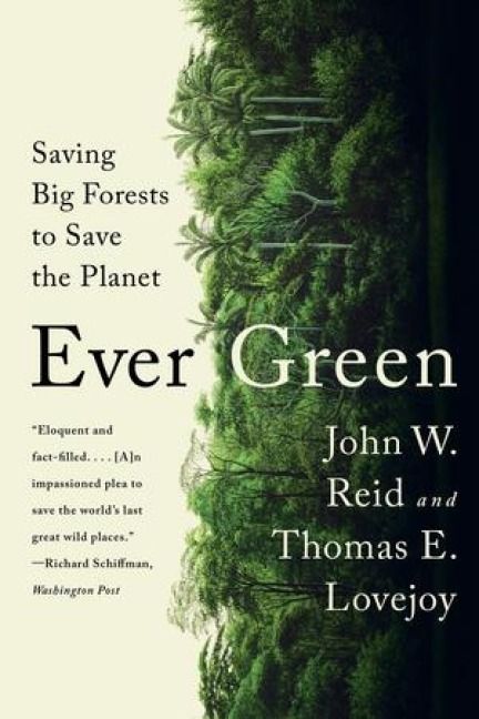 Produktbild: Ever Green
