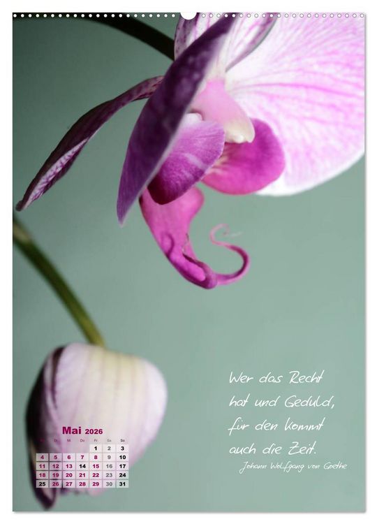 Produktbild: Blumen & Zitate (Wandkalender 2026 DIN A2 hoch), CALVENDO Monatskalender