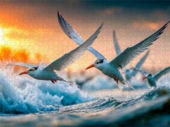 Produktbild: CALVENDO Puzzle Ob sich hier die Fische fangen lassen | 1000 Teile Lege-Gr&ouml;&szlig;e 64x48cm Foto-Puzzle f&uuml;r gl&uuml;ckliche Stunden