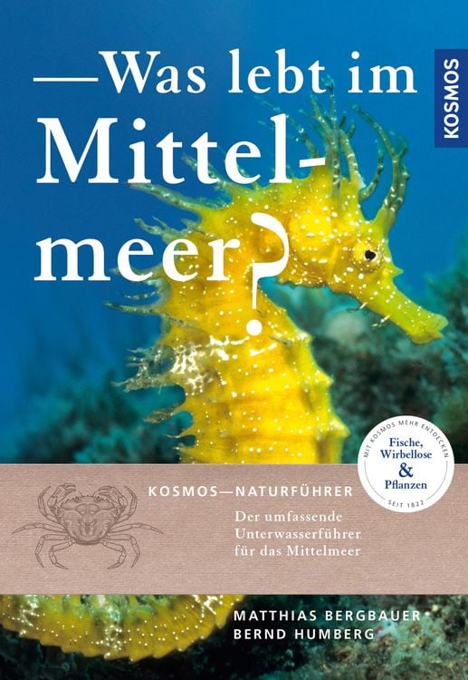 Produktbild: Was lebt im Mittelmeer