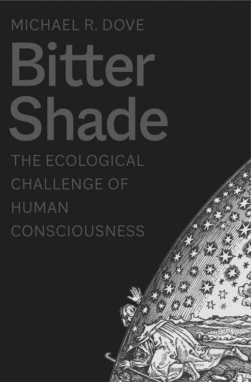 Produktbild: Dove, M: Bitter Shade