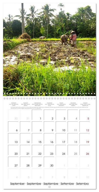 Produktbild: Travel around Java (Wall Calendar 2027 12 &times; 12 Inch) CALVENDO 12 Month Wall Calendar