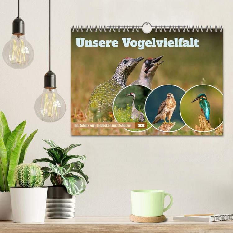 Produktbild: Unsere Vogelvielfalt: Ein Schatz zum Entdecken und Sch&uuml;tzen (Wandkalender 2026 DIN A4 quer), CALVENDO Monatskalender