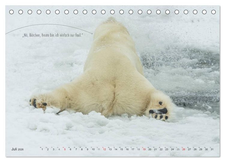 Produktbild: Emotionale Momente: Eisb&auml;ren - ganz menschlich gesehen. (Tischkalender 2026 DIN A5 quer), CALVENDO Monatskalender