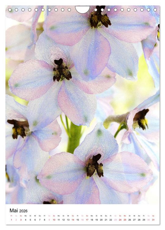 Produktbild: Bl&uuml;ten - Ein Fest der Formen und Farben (Wandkalender 2026 DIN A4 hoch), CALVENDO Monatskalender