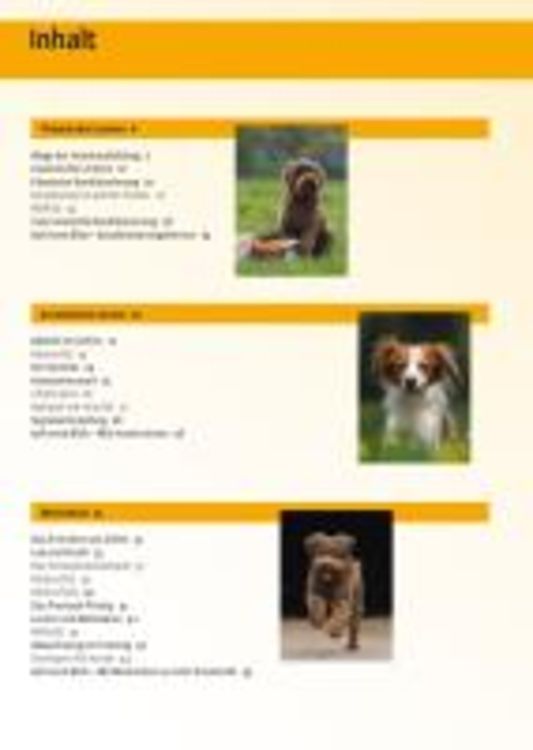 Produktbild: Hundeschule