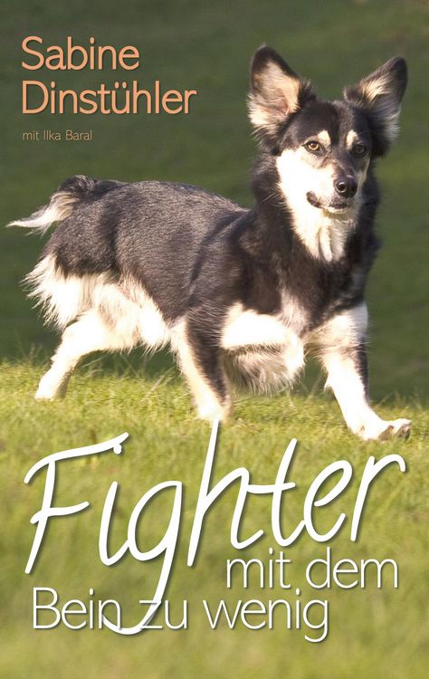 Produktbild: Fighter mit dem Bein zu wenig