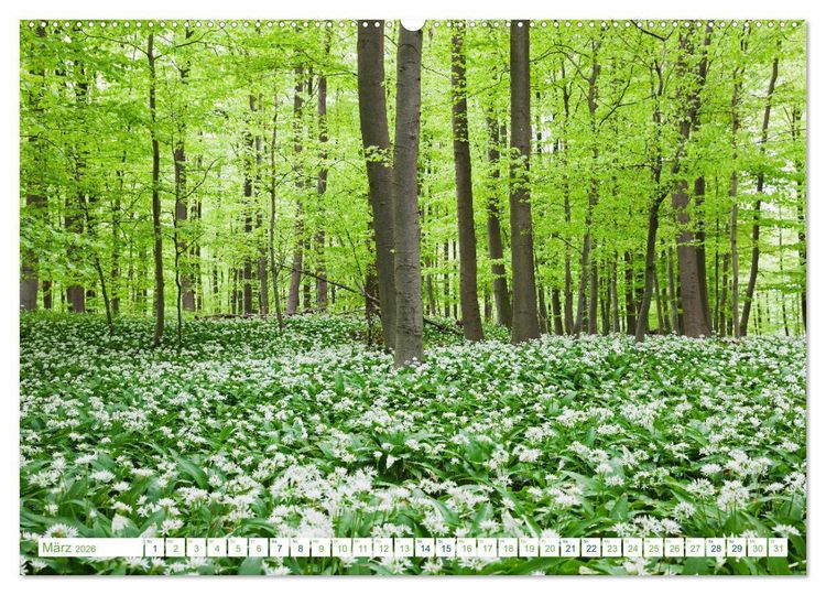 Produktbild: Eifel Reise - romantische Orte (Wandkalender 2026 DIN A2 quer), CALVENDO Monatskalender