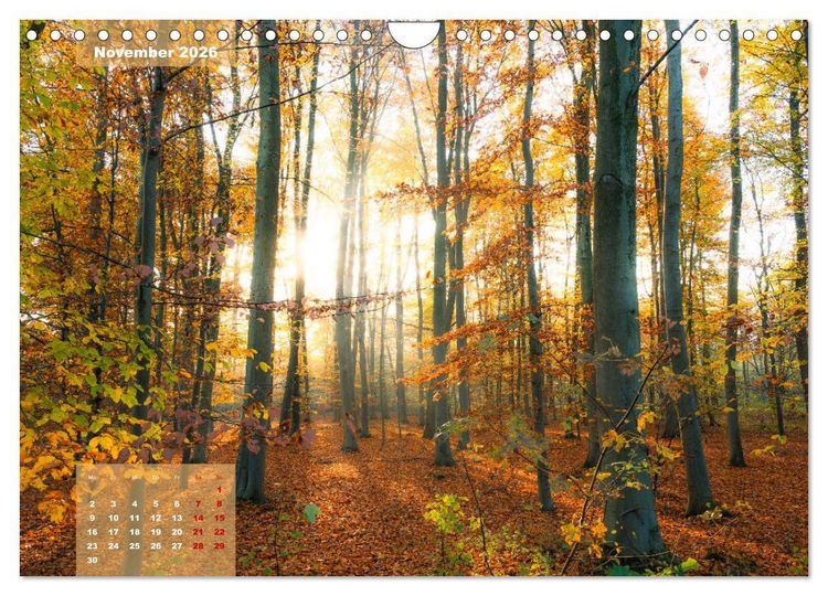 Produktbild: Ein Jahr Niederrhein Momente der Natur (Wandkalender 2026 DIN A4 quer), CALVENDO Monatskalender