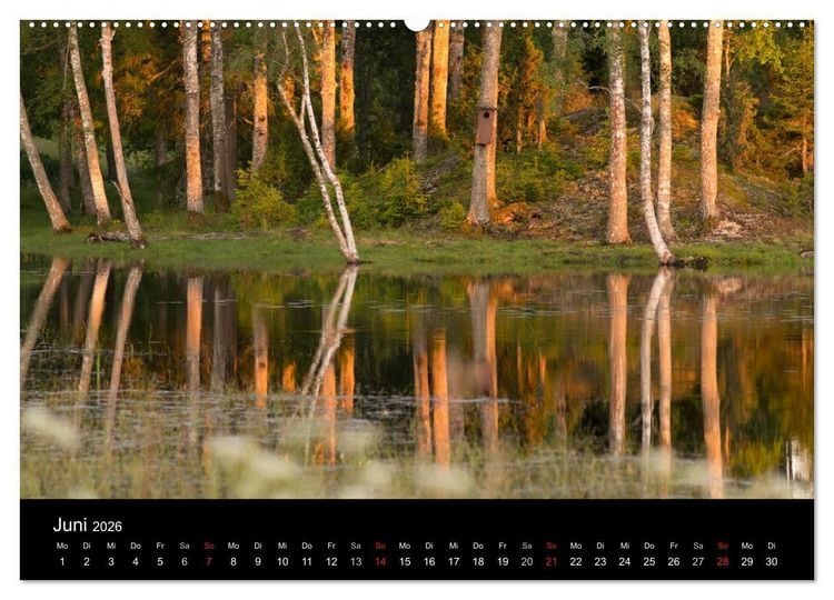 Produktbild: Schweden im Wechsel der Jahreszeiten (Wandkalender 2026 DIN A2 quer), CALVENDO Monatskalender