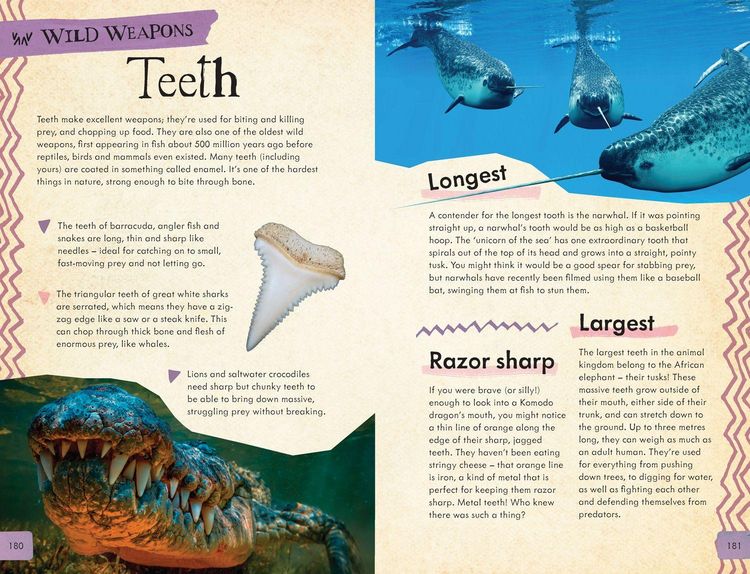 Produktbild: Dangerous Animals Survival Guide