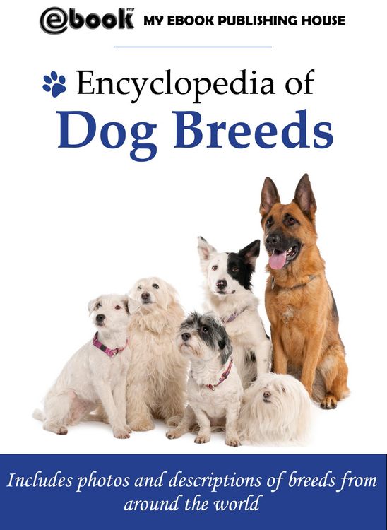 Produktbild: Encyclopedia of Dog Breeds