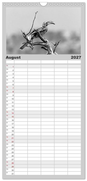 Produktbild: Familienplaner 2027 - Afrika Schwarz - Weiss mit 5 Spalten (Wandkalender, 21 x 45 cm) CALVENDO