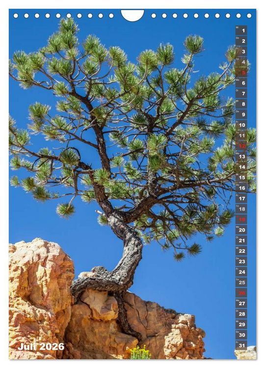 Produktbild: BRYCE CANYON Natur Pur (Wandkalender 2026 DIN A4 hoch), CALVENDO Monatskalender